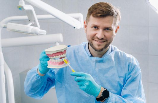 A model of a human jaw with teeth and a toothbrush in the dentist's hand.