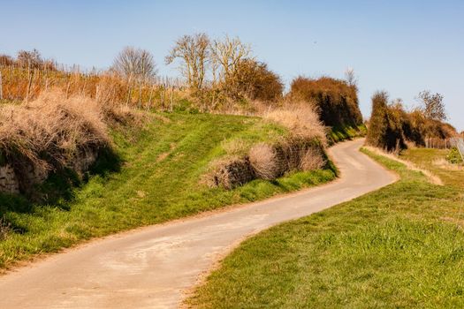 A dirt road with grass and bushes leads up a hill, Germany