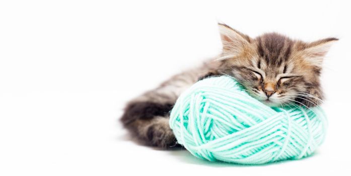 Striped cat with blue balls, skeins of thread on a white bed. An article about kittens. An article about pets. A curious little kitten sleeping over a white blanket