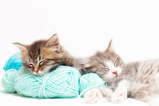 Striped cat with blue balls, skeins of thread on a white bed. An article about kittens. An article about pets. A curious little kitten sleeping over a white blanket