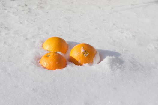 three orange oranges on white snow, orange color, background, New Year's mood, minimalism. High quality photo