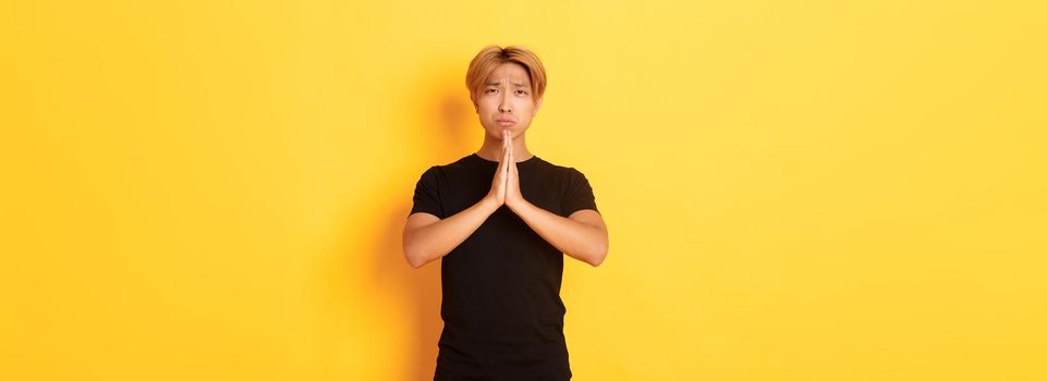 Portrait of miserable asian guy pleading, begging for help, standing over yellow background.