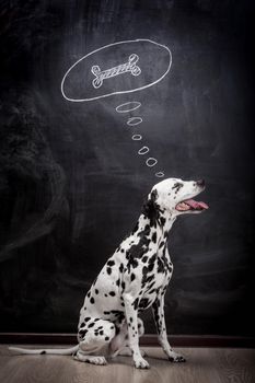 Dalmatian dog on black dreaming about a bone in a thought bubble