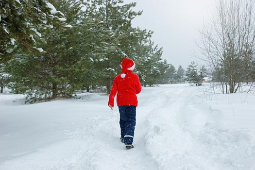 a teenager in a red sweater and a red santa claus hat go in the winter in the park, near the pines in the snow.View from the back. copy space