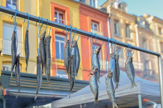 Herring hangs in a row and dries outside