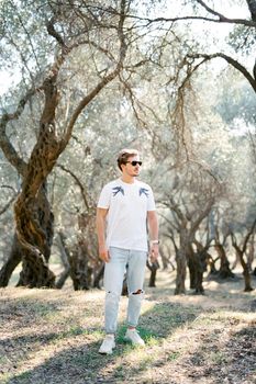 Young man in sunglasses stands in an olive grove. High quality photo