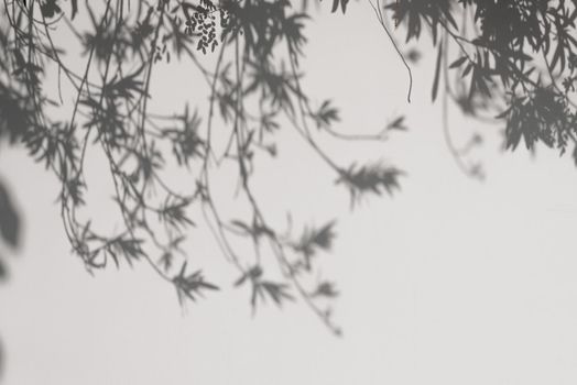 Shadows from the trees falling on the wall.