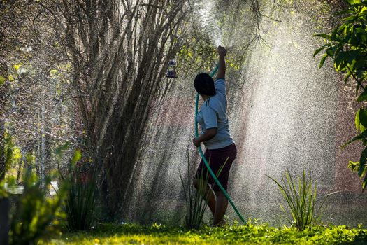 AQUIDAUAUNA, BRAZIL. JUNE 30, 2022: A young woman watering plants on an extremely hot day in Brazil.