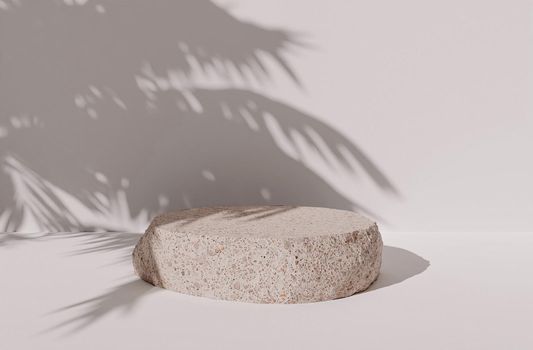 solitary rock for product presentation on white background with shadows of palm leaves. 3d rendering