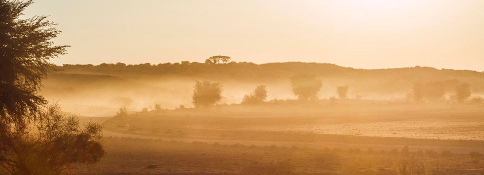 Dust sunset scenery in Kgalagadi transfrontier park, South Africa