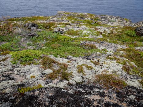 Landscape of the White sea with rocks and mosses