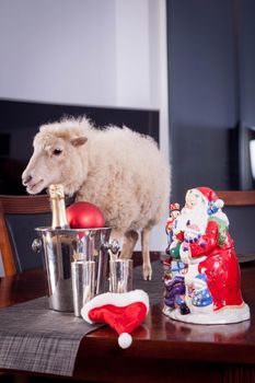 Portrait Of sheep in christmas hat Isolated On White. Simbol 2015