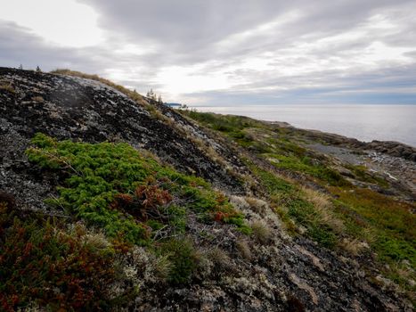 Landscape of the White sea with rocks and mosses