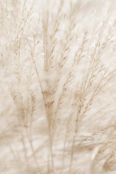 Beauty in nature, balanced lifestyle, environmental concept - Rustic autumn field