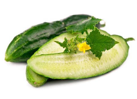 fresh green cucumbers on white