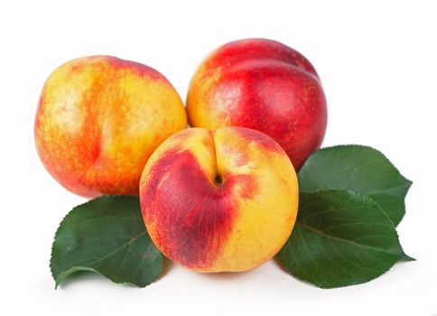 fresh nectarines with leaves isolated on white background.