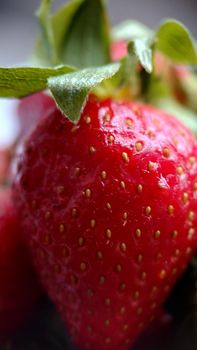 Texture or background.Garden ripe strawberries with green leaves close-up.Macrophotography