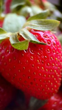 Macrophotography.Background image of ripe garden strawberries in close-up.Texture or background