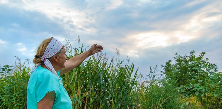 Grandmother points to the sky. Selective focus. Nature.