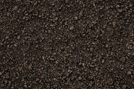 Background black soil texture ground close up. Ukrainian organic soil ground earth texture dark design. Organic farm soil background top view from above. Humus. Agriculture