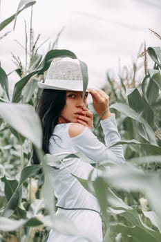 A brunette girl in a white dress in a cornfield. The concept of harvesting.