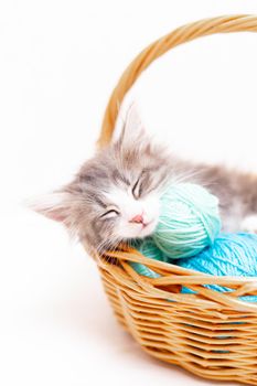 Striped cat with blue balls, skeins of thread on a white bed. An article about kittens. An article about pets. A curious little kitten sleeping over a white blanket