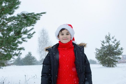 Portrait of cute teenager in a dark jacket and a red sweater, a red santa claus hat stands in the winter in the park, near the pines in the snow. copy space