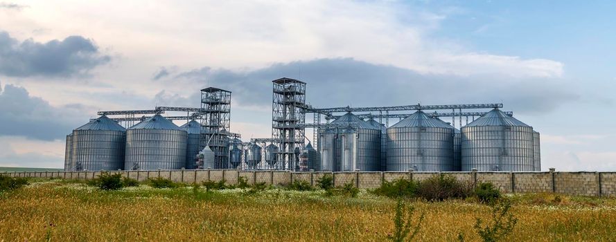 Panoramic view of modern agricultural Silo. Set of storage tanks cultivated agricultural crops processing plant. 