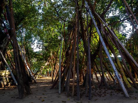 The traditional crutches PHO, in addition to supporting branches of Bodhi not to fall Also has the meaning of sustaining Buddhism for longevity