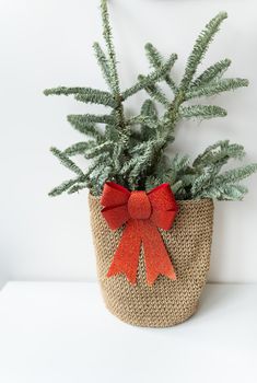 Beautiful small Christmas tree on wooden table. Happy mood. Garland lamp bokeh on background. Wallpaper. Danish pine and fir, Nobilis