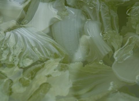 Cut into pieces White cabbage soaked in water