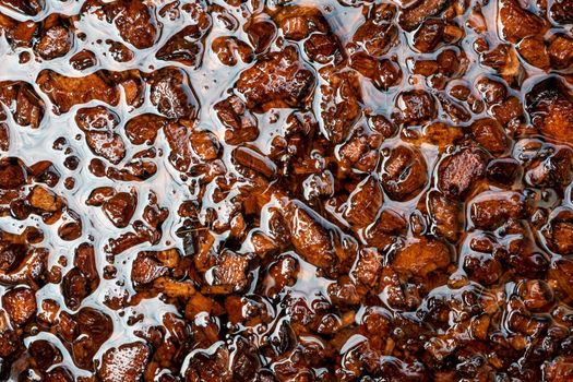 Chopped coconut husks soaked in water to prepare for use as planting material