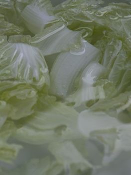 Cut into pieces White cabbage soaked in water