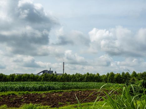 Industrial plant among agricultural areas Soil preparation for corn and eucalyptus fields