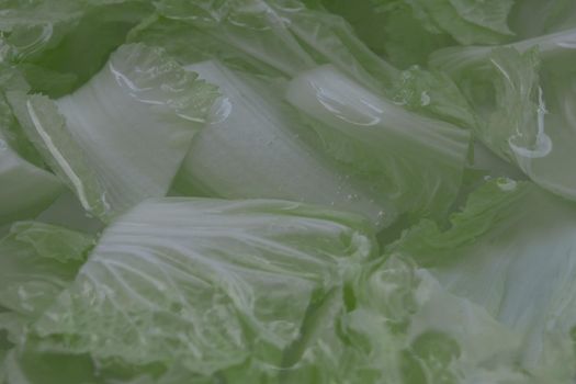 Cut into pieces White cabbage soaked in water