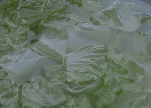 Cut into pieces White cabbage soaked in water