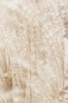 Beauty in nature, balanced lifestyle, environmental concept - Rustic autumn field