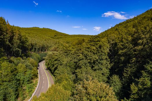Aerial view of a mountain road with a bike path through a healthy European mixed forest
