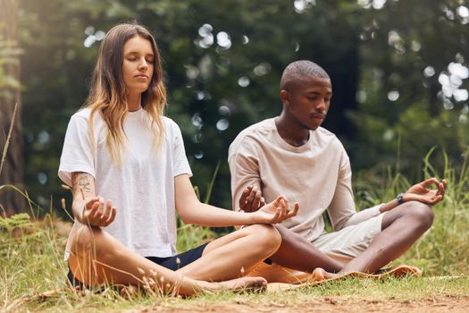 Yoga, interracial couple and meditation for zen and balance with black man and white woman sitting in lotus at a park in nature. Calm and content with holistic spiritual exercise and health training.