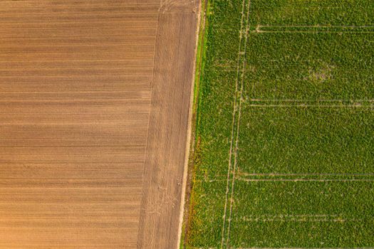 A plowed field with a brown arable soil next to a green field in the south of Germany taken from above