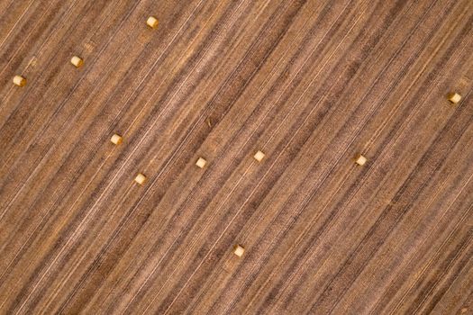 Shot of straw bales in a field after the grain harvest as seen from the air directly from above