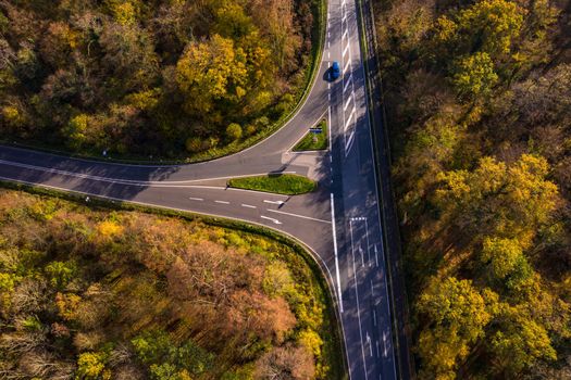 A road with an intersection in a forest threatens our environment by clearing trees