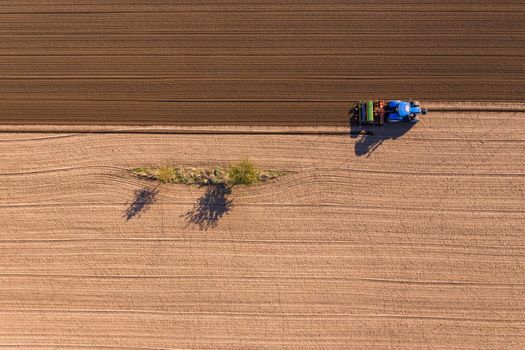 A single small strip of flowers in a plowed brown field surrounded by green field