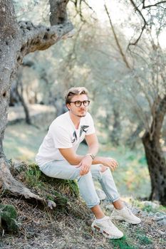 Young man in glasses sits on the roots of an olive tree in a grove. High quality photo
