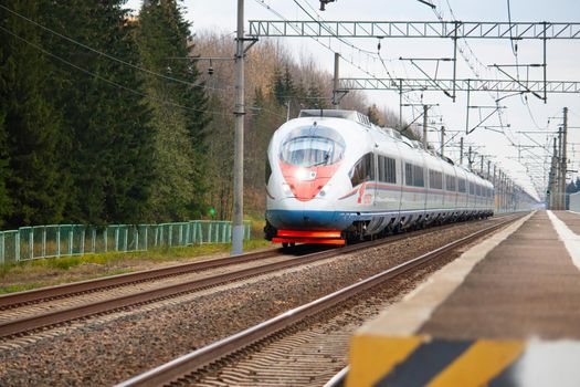 High - speed train sapsan in autumn . An article about high-speed trains. Train Moscow - Saint Petersburg. Lyuban, Russia, October 11, 2021