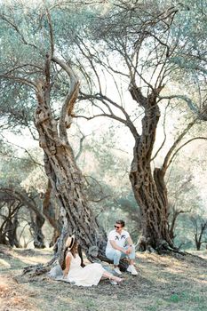 Man and woman sit on the roots of an old olive tree and look at each other. High quality photo