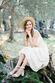 Young woman in a straw hat sitting on a stump in an olive grove. High quality photo