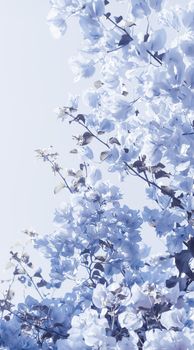 Flower background, spring nature and botanical beauty concept - Blue floral composition