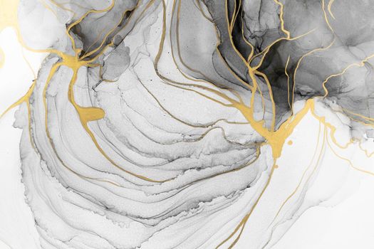 Marble ink abstract art from meticulous original painting abstract background . Painting was painted on high quality paper texture to create smooth marble background pattern of ombre alcohol ink .