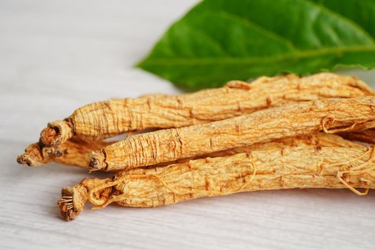 Ginseng roots and green leaf, healthy food.